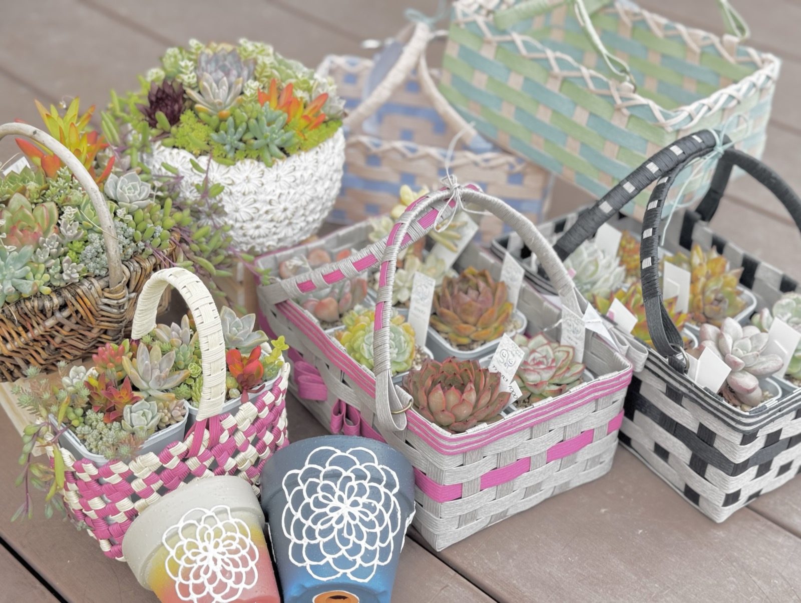 かごや鉢に植えられたSY多肉の寄せ植え