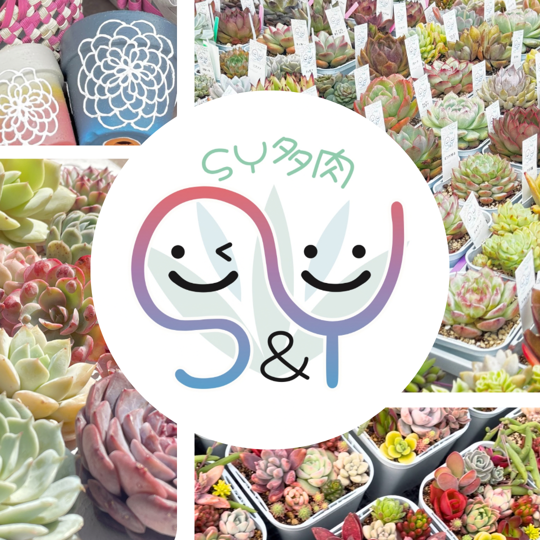 SY多肉のロゴと植物写真のコラージュ